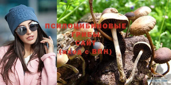 ГАЛЛЮЦИНОГЕННЫЕ ГРИБЫ Богородск