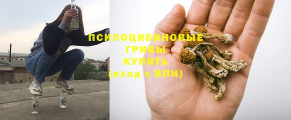 ГАЛЛЮЦИНОГЕННЫЕ ГРИБЫ Богородск