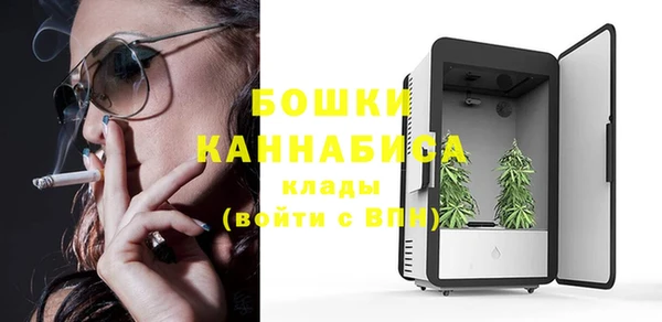 ГАЛЛЮЦИНОГЕННЫЕ ГРИБЫ Богородск
