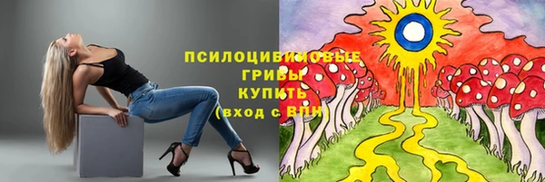 круглые Богданович
